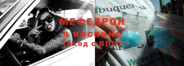 хмурый Аркадак