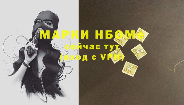 хмурый Аркадак