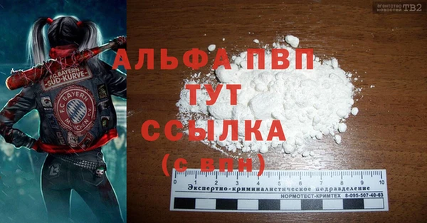 хмурый Аркадак