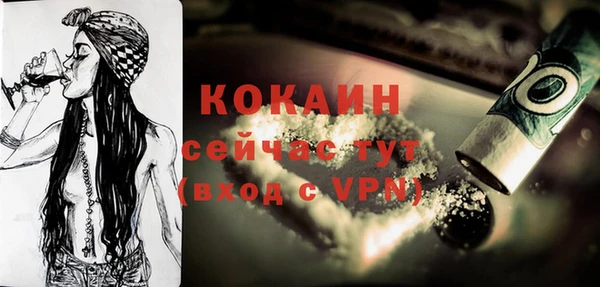 хмурый Аркадак